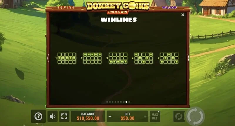 Donkey Coins Hold & Win - kemenangan besar dalam mod istimewa